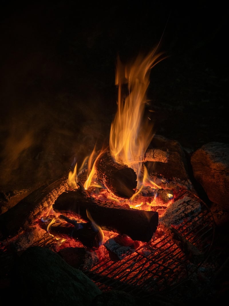 Wilderness Survival