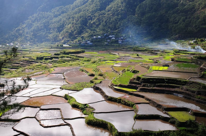 Asian Rice Terraces