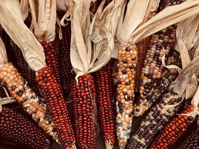 Local Vegetables